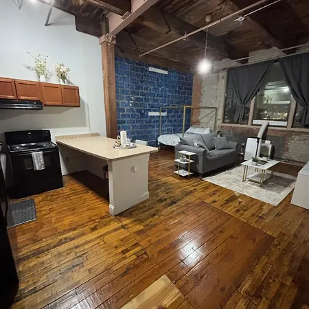 Stylish Loft Near Downtown Detroit Apartment
